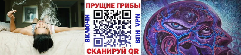Псилоцибиновые грибы ЛСД где купить наркотик Пучеж